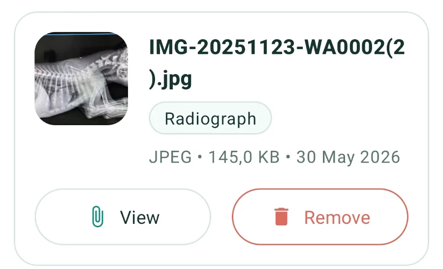 Enlarged from the VetGnosis app: a radiograph image attached to the patient with view and remove actions.